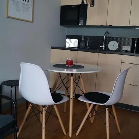 Small Studio City Center - Rakowicka 22c 아파트 *